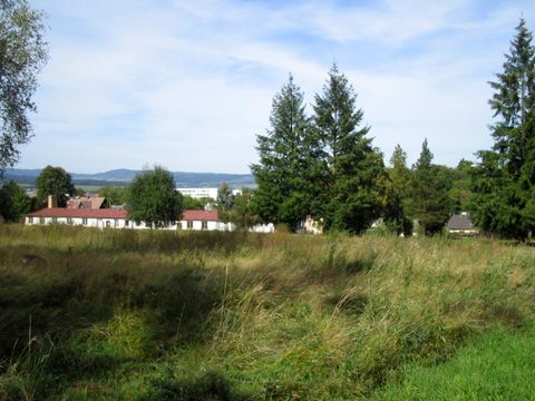 Foto 119